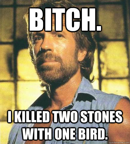 bitch. i killed two stones with one bird.  