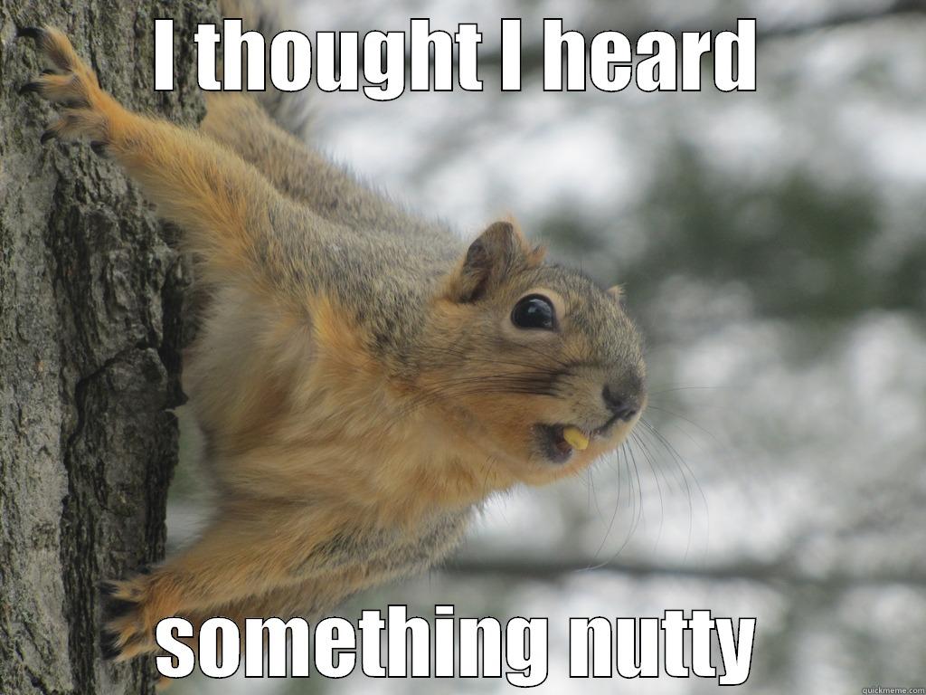 I THOUGHT I HEARD SOMETHING NUTTY Misc