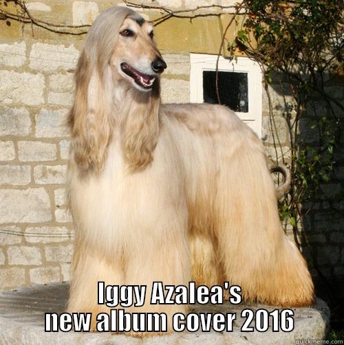  IGGY AZALEA'S NEW ALBUM COVER 2016 Misc