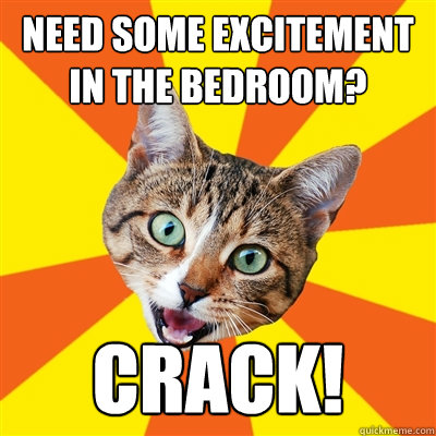 need some excitement in the bedroom? crack!  Bad Advice Cat