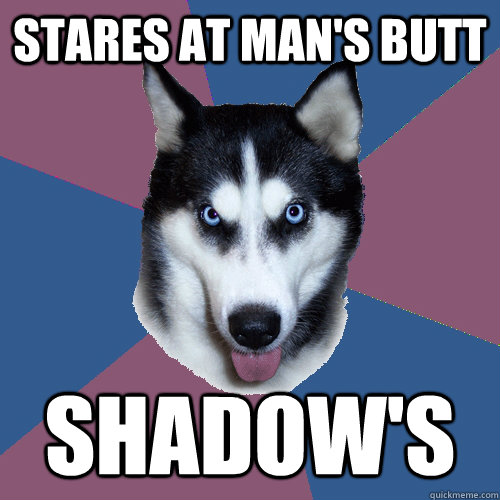 Stares at man's butt Shadow's  Creeper Canine