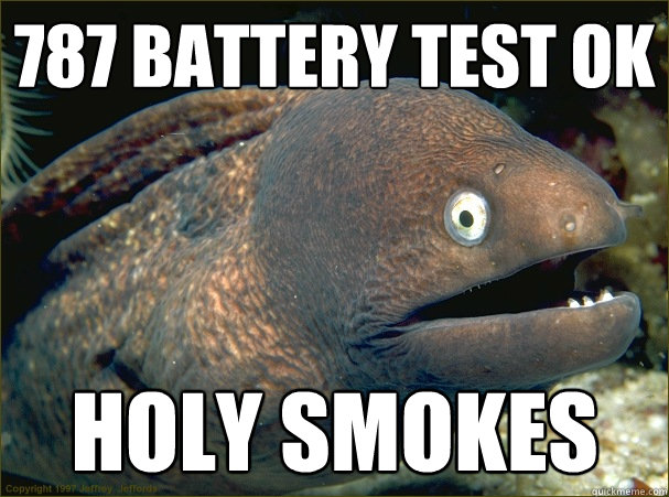 787 battery test ok holy smokes  Bad Joke Eel