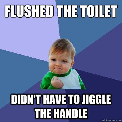 flushed the toilet didn't have to jiggle the handle  Success Kid