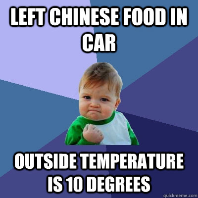 Left chinese food in car Outside temperature is 10 degrees  Success Kid