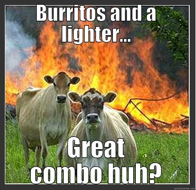 BURRITOS AND A LIGHTER... GREAT COMBO HUH? Evil cows