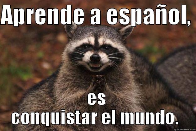 APRENDE A ESPAÑOL,  ES CONQUISTAR EL MUNDO.  Evil Plotting Raccoon