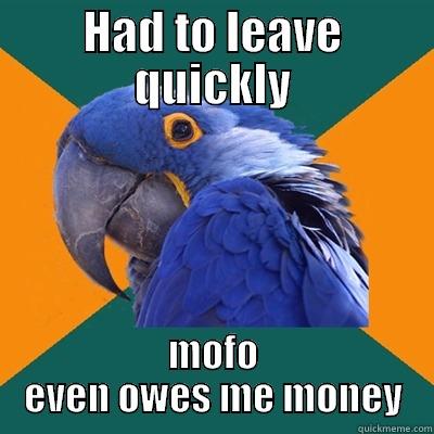 HAD TO LEAVE QUICKLY MOFO EVEN OWES ME MONEY Paranoid Parrot