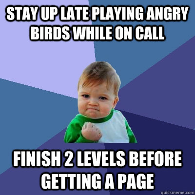 Stay up late playing Angry Birds While On Call Finish 2 levels before getting a page   Success Kid