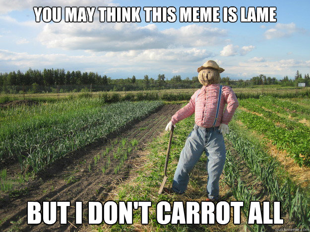 You may think this meme is lame but i don't carrot all  Scarecrow