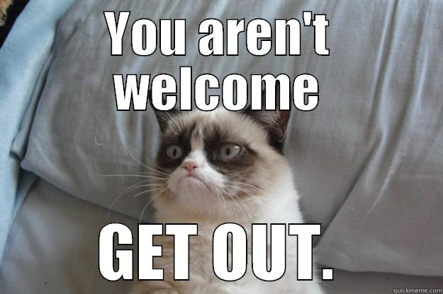 YOU AREN'T WELCOME GET OUT. Grumpy Cat