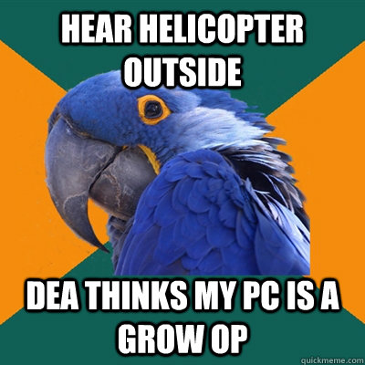 hear helicopter outside DEA thinks my PC is a grow op  Paranoid Parrot