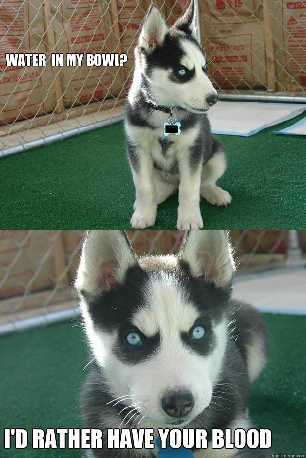 Water  in my bowl? I'd rather have your blood  Insanity puppy