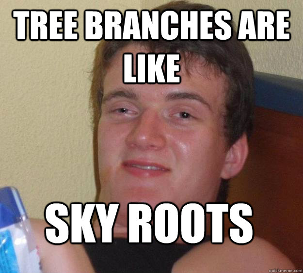 Tree branches are like sky roots
  10 Guy