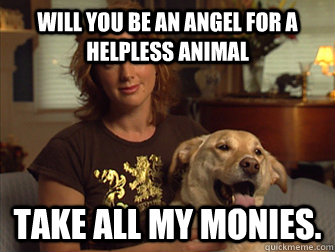 Will you be an angel for a helpless animal Take all my monies.   Sarah Mclachlan