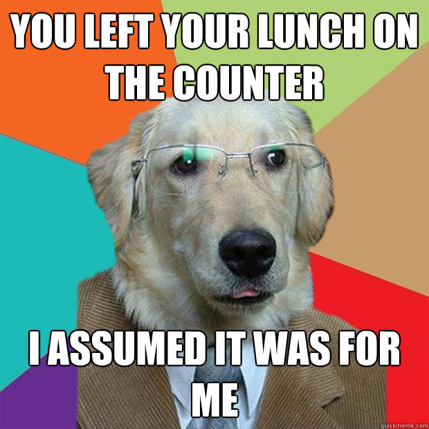 You left your lunch on the counter I assumed it was for me  Business Dog