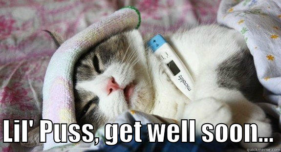 Ill Puss -   LIL' PUSS, GET WELL SOON... Misc