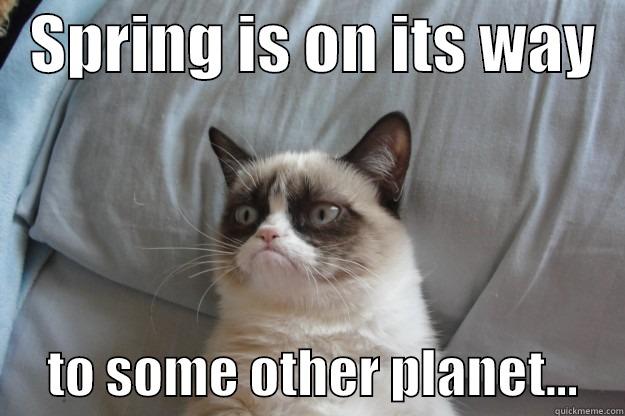   SPRING IS ON ITS WAY        TO SOME OTHER PLANET...    Grumpy Cat