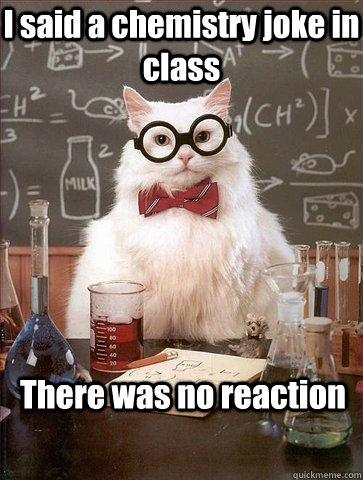 I said a chemistry joke in class There was no reaction  Chemistry Cat