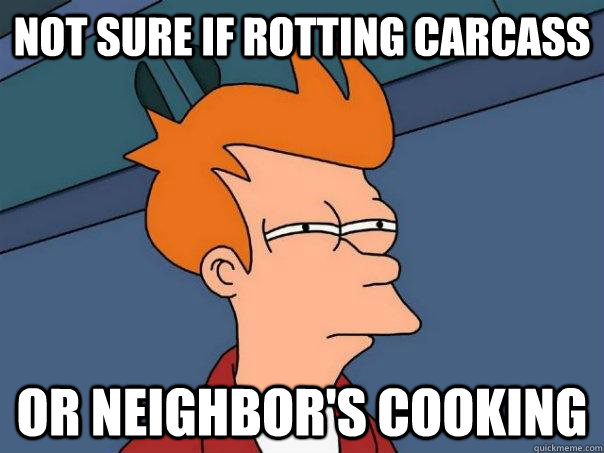 Not sure if rotting carcass  Or neighbor's cooking  Futurama Fry