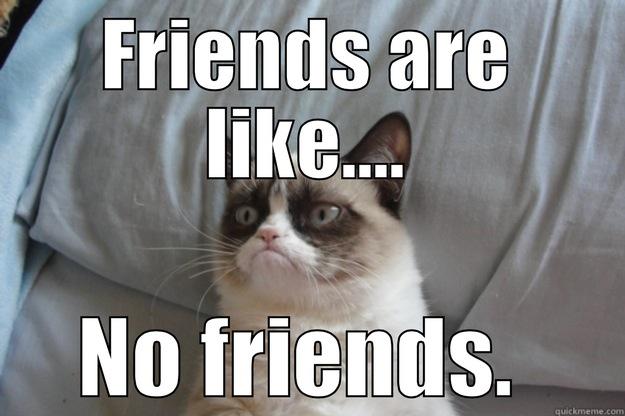 FRIENDS ARE LIKE.... NO FRIENDS.  Grumpy Cat