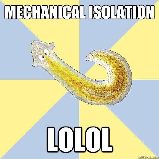 Mechanical isolation LOLOL  Bio Major Planarian