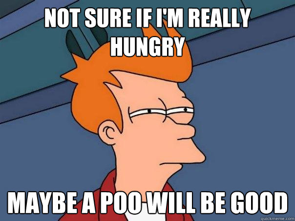 not sure if i'm really hungry MAYBE A POO WILL BE GOOD - not sure if i'm really hungry MAYBE A POO WILL BE GOOD  Futurama Fry