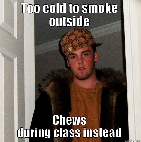 TOO COLD TO SMOKE OUTSIDE CHEWS DURING CLASS INSTEAD Scumbag Steve