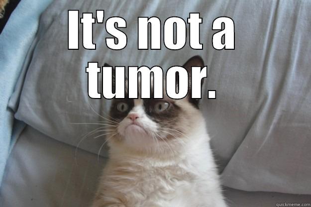 not a tumor - IT'S NOT A TUMOR.  Grumpy Cat