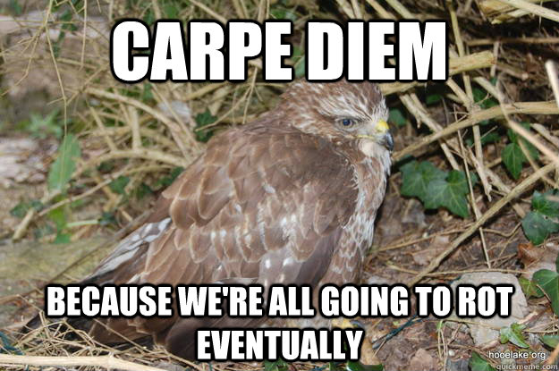 Carpe diem because we're all going to rot eventually  