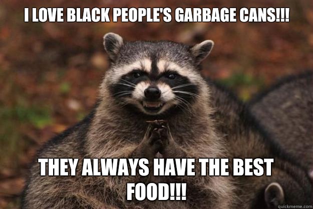 I love black people's Garbage Cans!!! They always have the best food!!!  Evil Plotting Raccoon