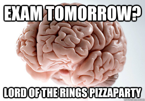 exam tomorrow? lord of the rings pizzaparty - exam tomorrow? lord of the rings pizzaparty  Scumbag Brain