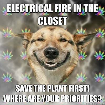 Electrical Fire in the closet Save the plant first!  Where are your priorities?  Stoner Dog