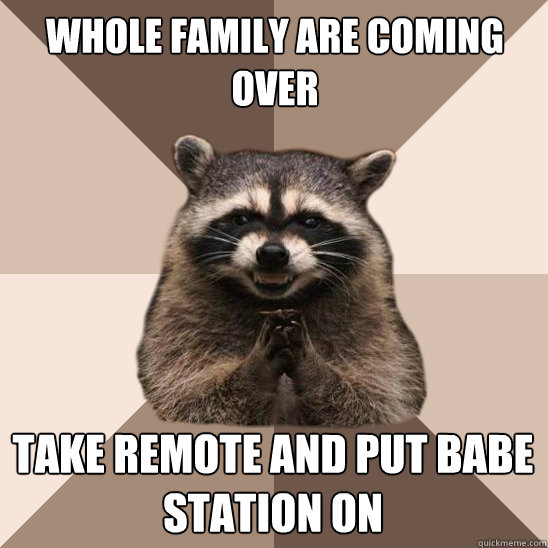 Whole family are coming over Take remote and put babe station on  Evil Plotting Raccoon