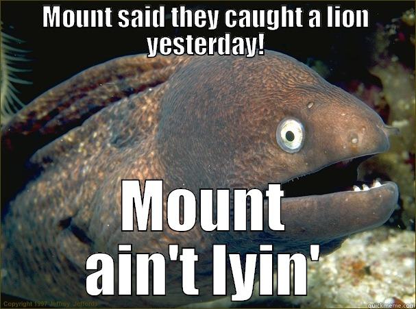 MOUNT SAID THEY CAUGHT A LION YESTERDAY! MOUNT AIN'T LYIN' Bad Joke Eel