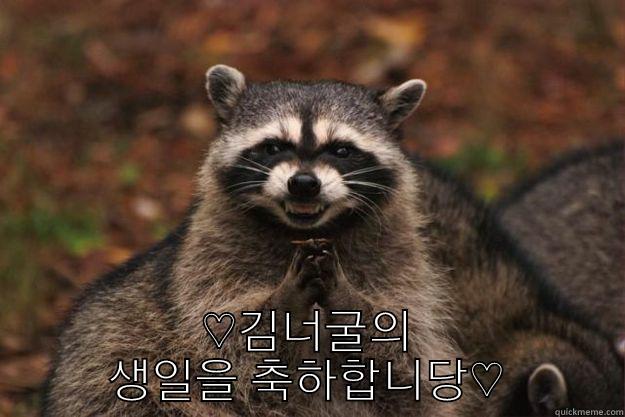  ♡김너굴의 생일을 축하합니당♡ Evil Plotting Raccoon