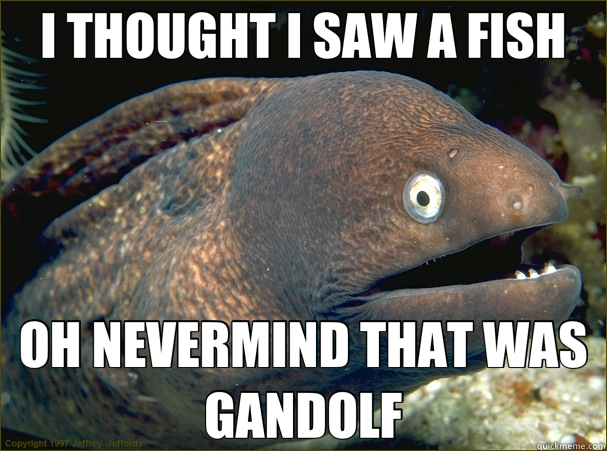 I THOUGHT I SAW A FISH OH NEVERMIND THAT WAS GANDOLF - I THOUGHT I SAW A FISH OH NEVERMIND THAT WAS GANDOLF  Bad Joke Eel