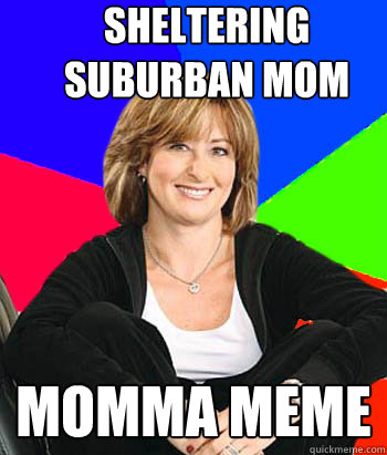 Sheltering Suburban Mom Momma Meme  Sheltering Suburban Mom