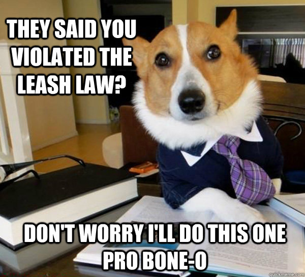 They said you violated the leash law? Don't worry I'll do this one pro bone-o  Lawyer Dog