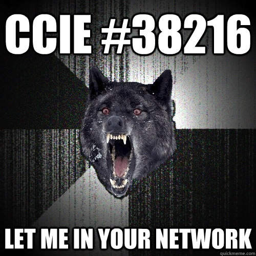 CCIE #38216 LET ME IN YOUR NETWORK - CCIE #38216 LET ME IN YOUR NETWORK  Insanity Wolf