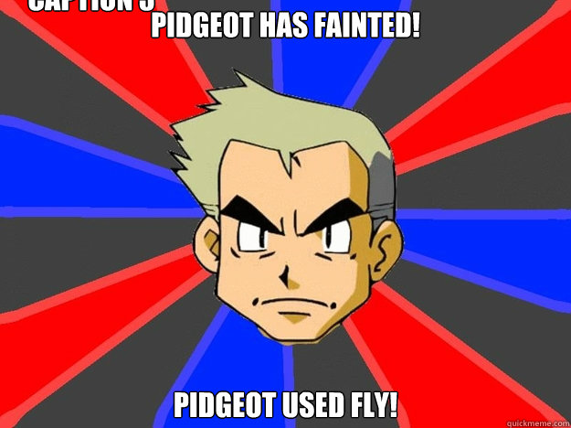 Pidgeot has Fainted! pidgeot used fly! Caption 3 goes here  Pokemon Logic