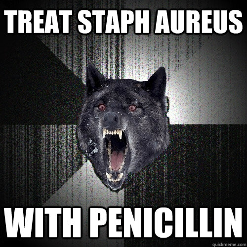 Treat Staph Aureus With Penicillin - Treat Staph Aureus With Penicillin  Insanity Wolf