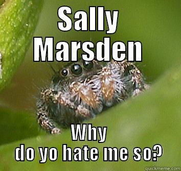 SALLY MARSDEN WHY DO YO HATE ME SO? Misunderstood Spider