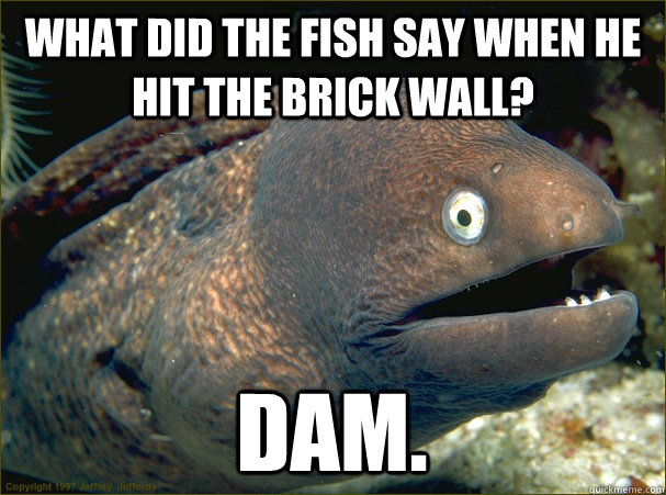 What did the fish say when he hit the brick wall? Dam.  Bad Joke Eel