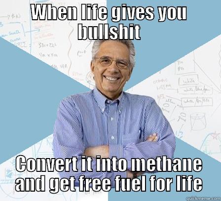 WHEN LIFE GIVES YOU BULLSHIT CONVERT IT INTO METHANE AND GET FREE FUEL FOR LIFE Engineering Professor