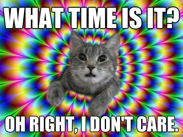 what time is it? Oh right, I don't care. - what time is it? Oh right, I don't care.  Addictive personality cat