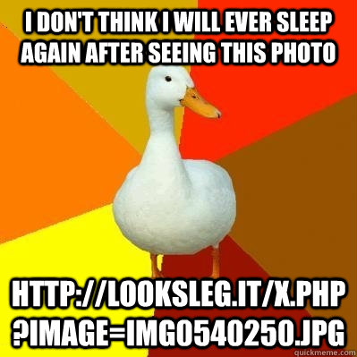 i don't think i will ever sleep again after seeing this photo  http://looksleg.it/x.php?image=IMG0540250.JPG  Tech Impaired Duck