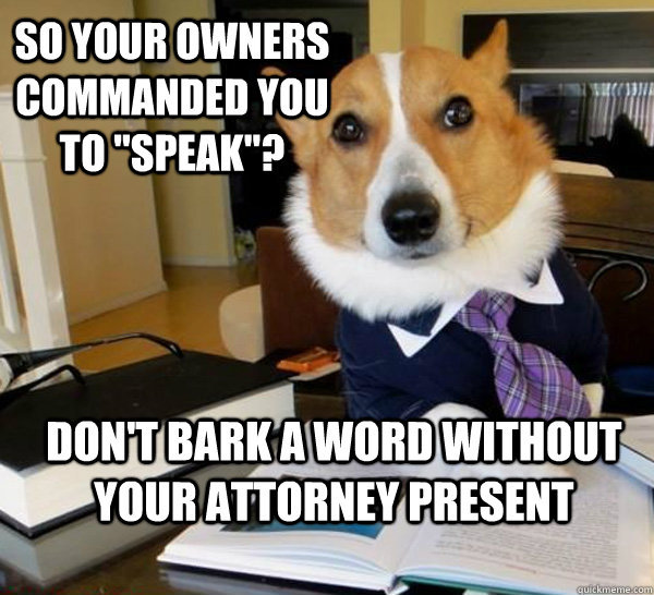 So your owners commanded you to 