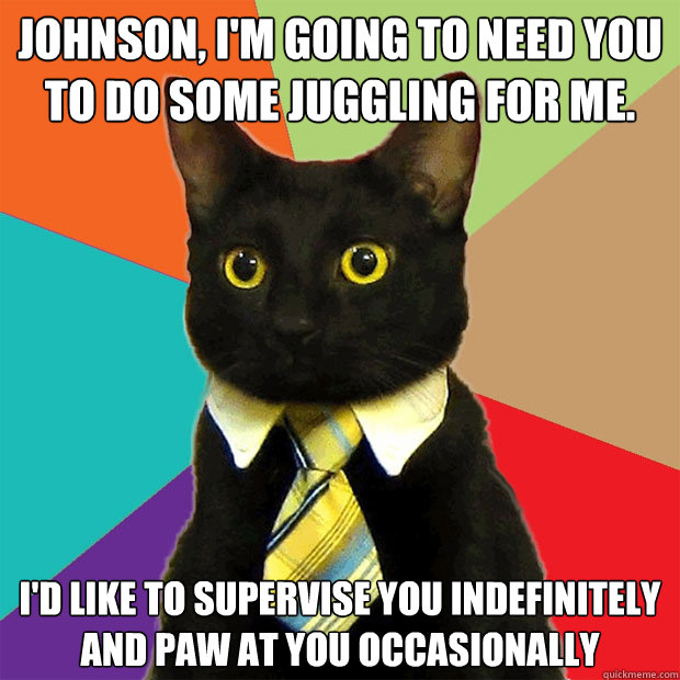 Johnson, I'm going to need you to do some juggling for me. I'd like to supervise you indefinitely and paw at you occasionally  Business Cat