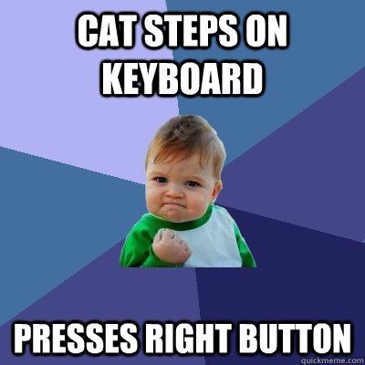 cat steps on keyboard presses right button  Success Kid