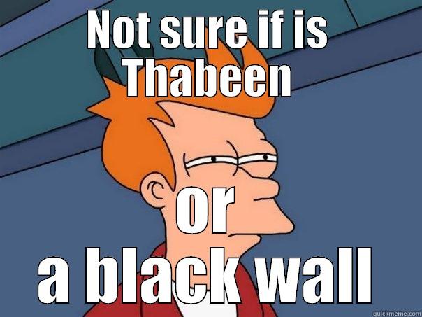 NOT SURE IF IS THABEEN OR A BLACK WALL Futurama Fry